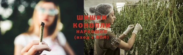 молекула духа Краснослободск