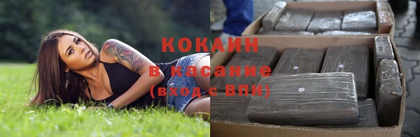 молекула духа Краснослободск
