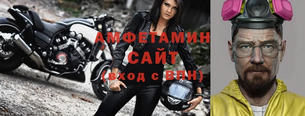 молекула духа Краснослободск