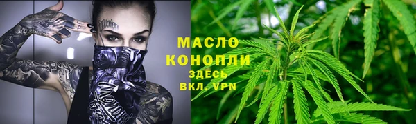 молекула духа Краснослободск